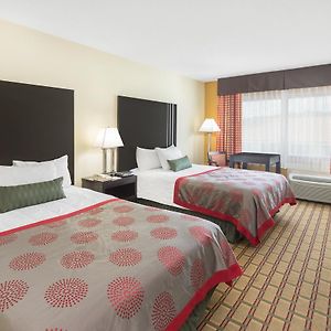 Double Room Two Double Beds Non-Smoking